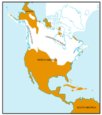 North American Glaciation